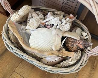 seashells !! by the basket full