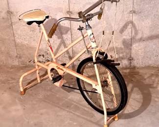 Columbia Stationary Bike With Shiny Seat