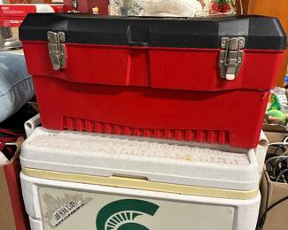 Michigan State Cooler