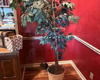 67Mar 14 2026 05 28pmvscy