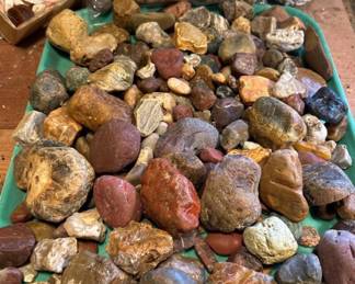 Cool unidentified rocks, petrified wood