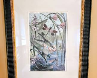 Dragonfly (2 available)