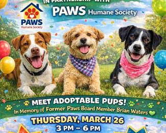 We will be partnering with PAWS Humane for an onsite adoption of 3 dogs looking for their furever home on March 26, 3pm-6pm!  All adoption fees are waived and Move and More will make a donation in memory of Brian Waters, former PAWS Board Member.