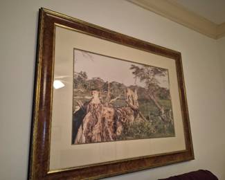 Large Framed Cheetah Photograph