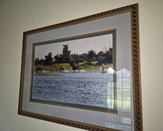 Large Framed Horse Photograph 