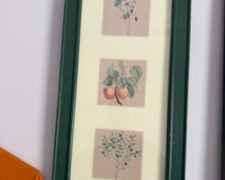 Framed Floral Prints – Botanical Wall Art Set