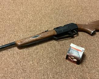 Daisy BB Gun And BBs