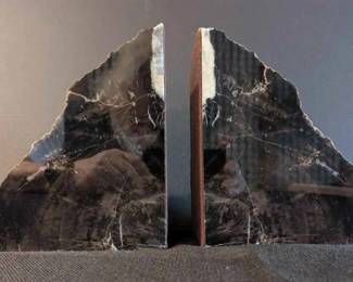 RA158Petrified Wood Bookends
