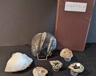 RA134Milky Quartz, Orthoceras Fossil, Agate Geodes, Ocho Agate Geodes