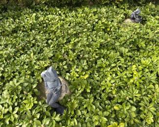 669Apr 21 2026 08 33pm23qc