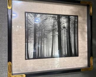 78Apr 21 2026 03 40pmfHum