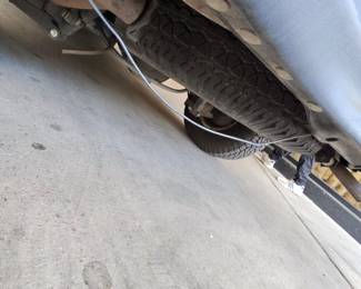 photo230 singular display fullPicture