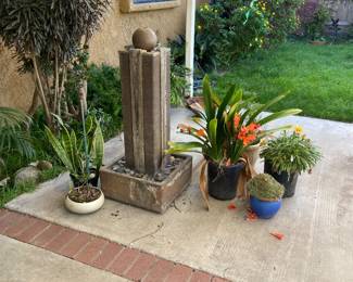 pots, plants, fountain