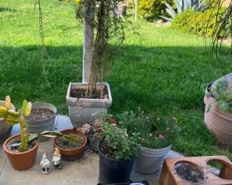 pots and plans, dogs stands