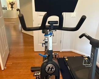 Horizon Fitness Elite IC 7.9 Indoor Cycle with Integrated Treadmill Mat