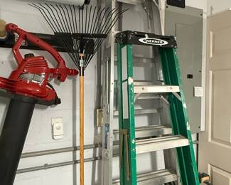 Werner 6-foot Aluminum Step Ladder and Werner 10-foot Extension Ladder