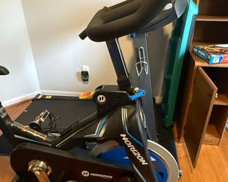 Horizon Fitness Elite IC 7.9 Indoor Cycle with Integrated Treadmill Mat