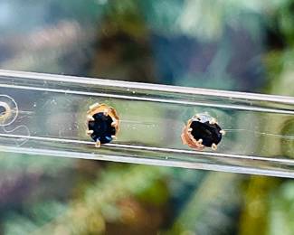 14K gemstone Earrings