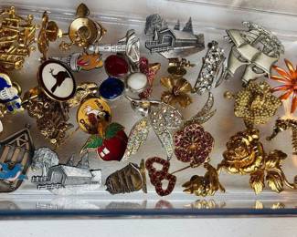 Costume Jewelry Pins