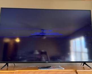 Vizio Flat Screen TV with Remote 60"