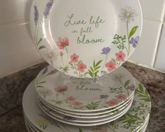 Plate & Saucer set