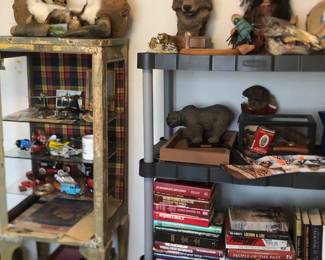 Airplanes and cabinet, books