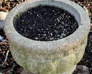 Cement Planter