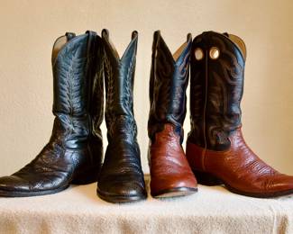 Left to rt:  Black snake skin Tony Lama (11 D):  $100.  Justin (11.5 D):  $100.00