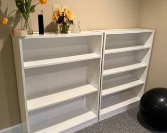 Several Bookcases