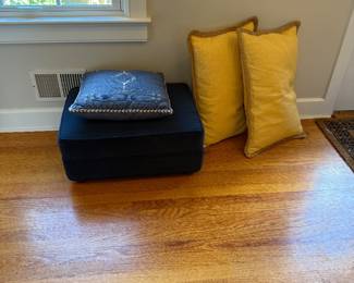 Pottery Barn Pillows