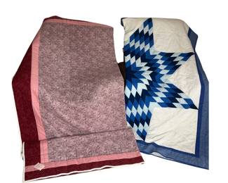 2 Quilts Texas Lone Star French Monet Garden