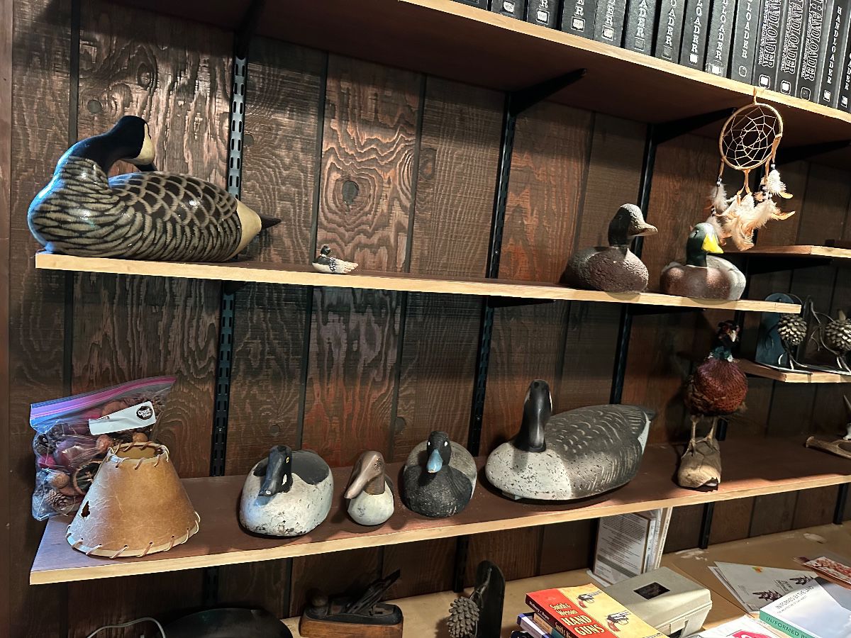DECOYS