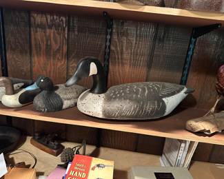 DECOYS