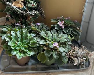 In person sale 3/21/26