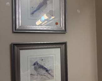 framed bird prints