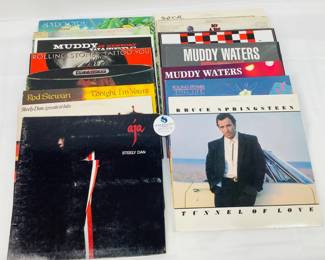The Rolling Stones, Bruce Springsteen, Steely Dan & More Albums