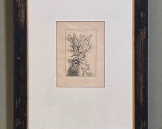 Madrepora Vintage Print