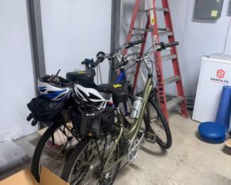 The ladder pictured in the back of this picture was sold to the new home owner! 