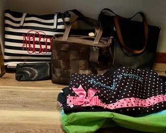 GENUINE SEATBELT PURSE