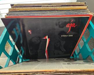 Steely Dan record
