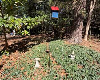 Blue and Red Wooden Birdhouse