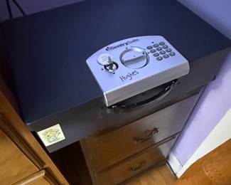 Portable Sentry Safe