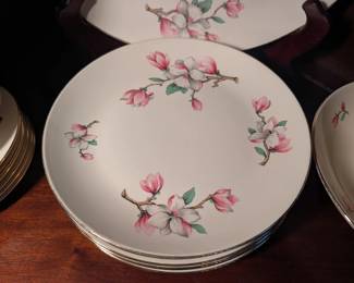 Homer Laughlin China Set