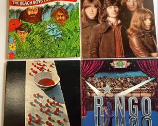 Vintage Vinyl Record Collection