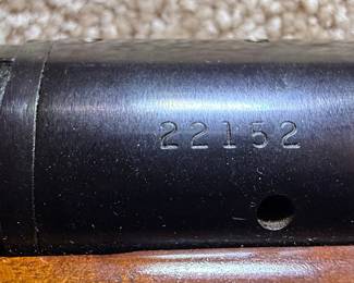 Savage Arms Model 110L .270 W.M.