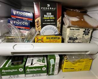 Mixed Ammunition Lot