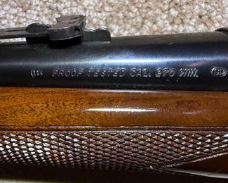 Savage Arms Model 110L .270 W.M.