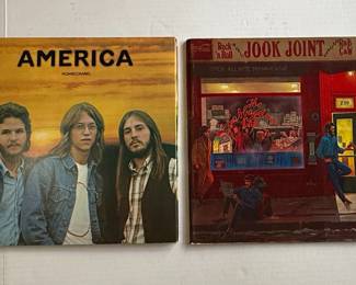 Vintage Vinyl Record Collection