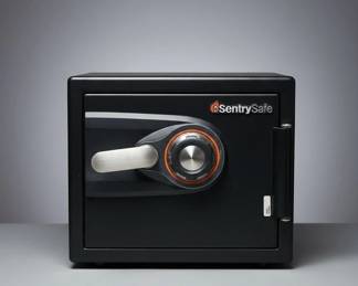 SentrySafe Security Safe