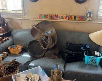 Side saddle and lasso